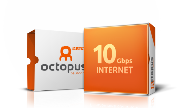 Octopus Dedicated Fibre Leased Lines